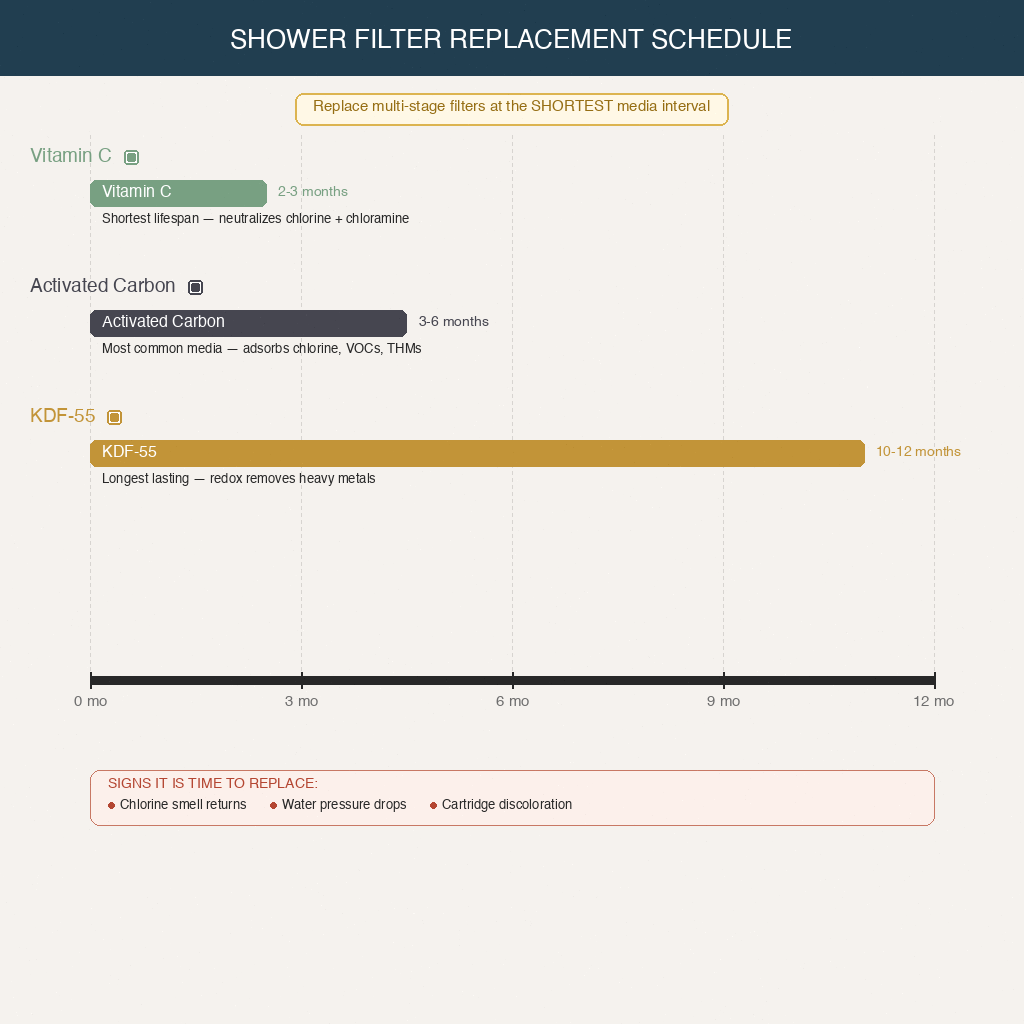 replacement timeline showing vitamin C at 2-3 months, carbon at 3-6 months, and KDF at 10-12 months on a monthly schedule